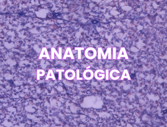 Anatomia Patológica: Guia de Livros para Graduação Médica
